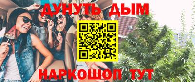 герыч Новодвинск