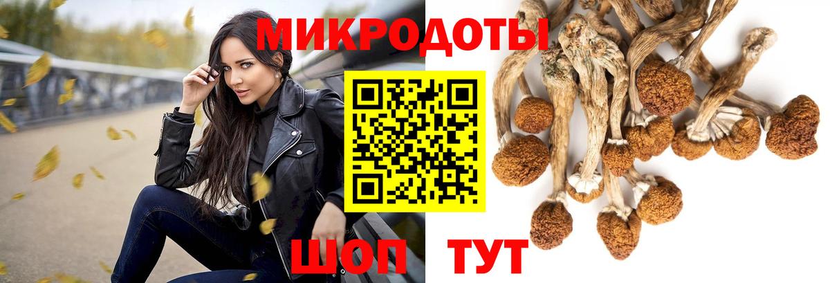 Галлюциногенные грибы прущие грибы Шарыпово