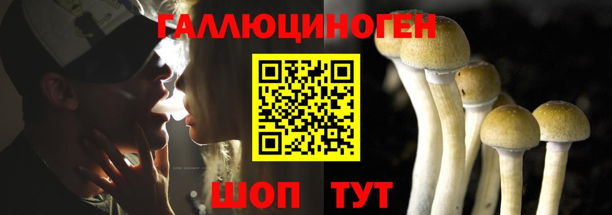 Галлюциногенные грибы мицелий  Вход с VPN  Галлюциногенные грибы Psilocybe  Шарыпово 